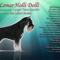 Реклама - презентация производителя цвергшнауцер Nev Lemar Holli Dolli