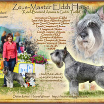 Реклама - презентация производителя миттельшнауцер Zeus-Master Eldzh Hope