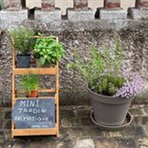Mini jardin aromatique pour vos barbecues