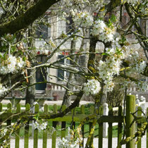 la nature les Mollières Ferme Relais de la Baie de Somme gîtes de groupe baie de somme