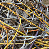 CABANE CHAMPIGNON, 2016  Tressage d'osier et de vigne. Hauteur 1m80