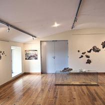 LICHENS, Exposition personnelle, Maison du Mont Aigoual, Parc National des Cévennes, 2021.