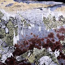 Lichens #3, 2021. Oeuvre originale 60x80cm + tirages numérotés 1-24 + 2 e.a