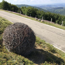 CELLULE-PLACENTA, 2020. Tressage de hêtre. Diamètre 1m80. Vue extérieure.