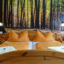 Doppelzimmer im Gasthof "Zum Hohen Lohr" in Battenhausen; landschaftlich schön gelegen im Naturpark Kellerwald-Edersee in der nordhessischen Grimmheimat