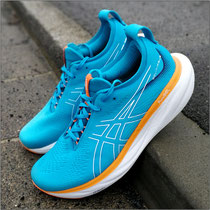 Der 'GEL-NIMBUS 25' von ASICS im Test...
