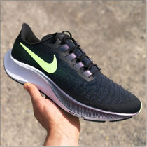 Der 'Nike Air Zoom Pegasus 37' im Test...
