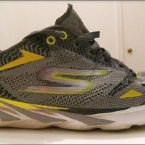 220 Kilometer mit dem 'GOmeb Speed 3 - 2016' von Skechers.