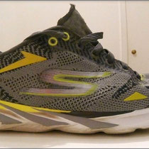 220 Kilometer mit dem 'GOmeb Speed 3 - 2016' von Skechers.