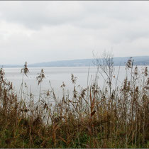 Ein Blick auf den See.