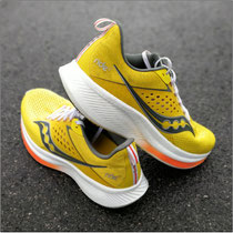 Der 'Ride 17' von Saucony im Test...