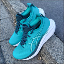 Der 'GEL-NIMBUS 27' von ASICS im Test...