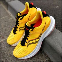 Der 'Tempus' von Saucony im Test...