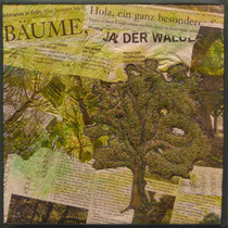 Im Wald, 30 x 30 cm 