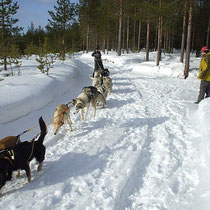 Start mit 8-er Team direkt von der Wolfbay-Lodge