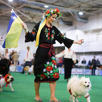 японский шпиц Симба, белые собаки, Украина, конкурсы, костюмы, казак, вышиванка