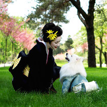 Japanese spitz Simba, Ukraine, white dogs, kimono, woman, love, Japan