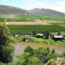 Robertson Wine Area Weltevrede