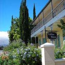 Prince Albert