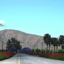 Robertson Wine Area