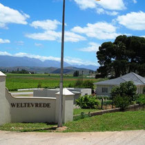 Robertson Wine Area Weltevrede