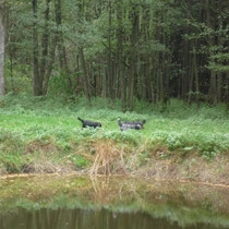 Bram, Caatje, Ninja