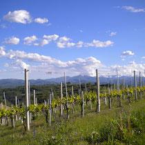 auf dem Weg nach Ciglie