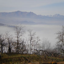 Der Herbst kündigt sich an