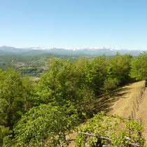 Wunderbarer Weitblick 