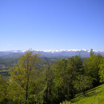 Grundstück mit Wald, Wiese