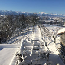 Winterlandschaft mit dem Alpenbogen