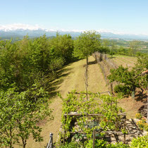 180 Grad Panorama auf den Alpenbogen