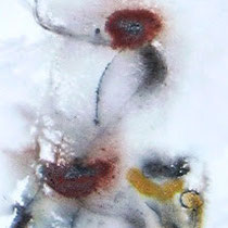 fleurs, pigmente