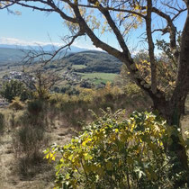 Sur les traces de l'ermite du Calvaire (Chalabre) - Crédit photo Jean-Claude Carayol 