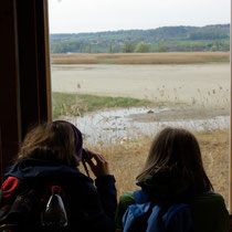 Junge Vogelliebhaber beim Blick in die Flachwasserzone - Foto: NABU/M. Fiebrich