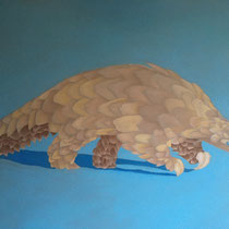Pangolin, 80x120