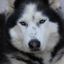 Yukon