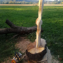 seitliche Ansicht Adler
