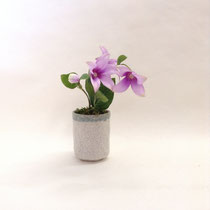 造花646　　240H 