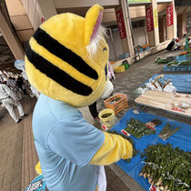 山菜が並ぶ季節にも出店しました。