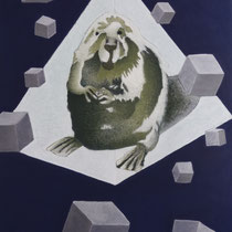 Castor, 80x120