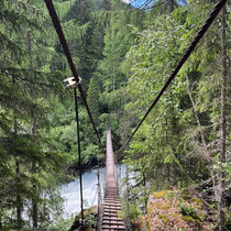 «Gimpel unterwegs» - Ardez, Juni 2024