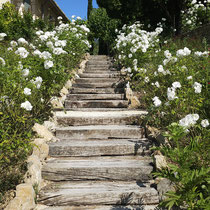 Domaine de Valbonne Gard Provencal