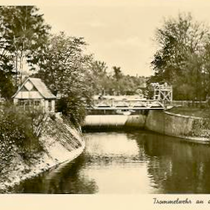 Der Main mit Trommelwehr an der Böckleinsinsel um 1939 (2)