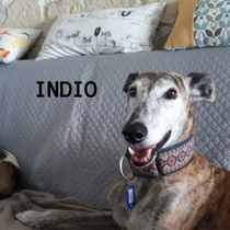 INDIO
