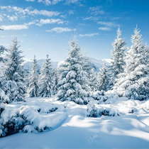 W4 - Winter-Motiv, weiß-blau (Polyestergewebe) = 25 EURO - B250 x H300cm