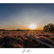 Sundown - Foto: Jonas Klinke