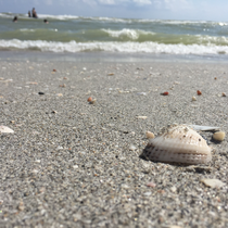 Bowman's Beach, Sanibel Island