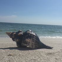 Sanibel Island