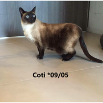 Coti